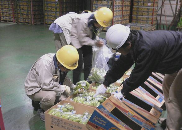 輸入食品の監視