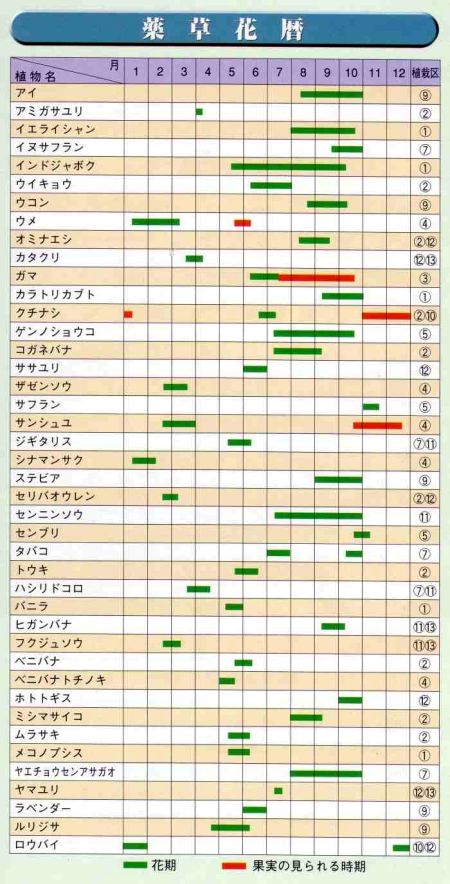 薬草花歴