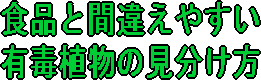 食品と間違えやすい有毒植物の見分け方