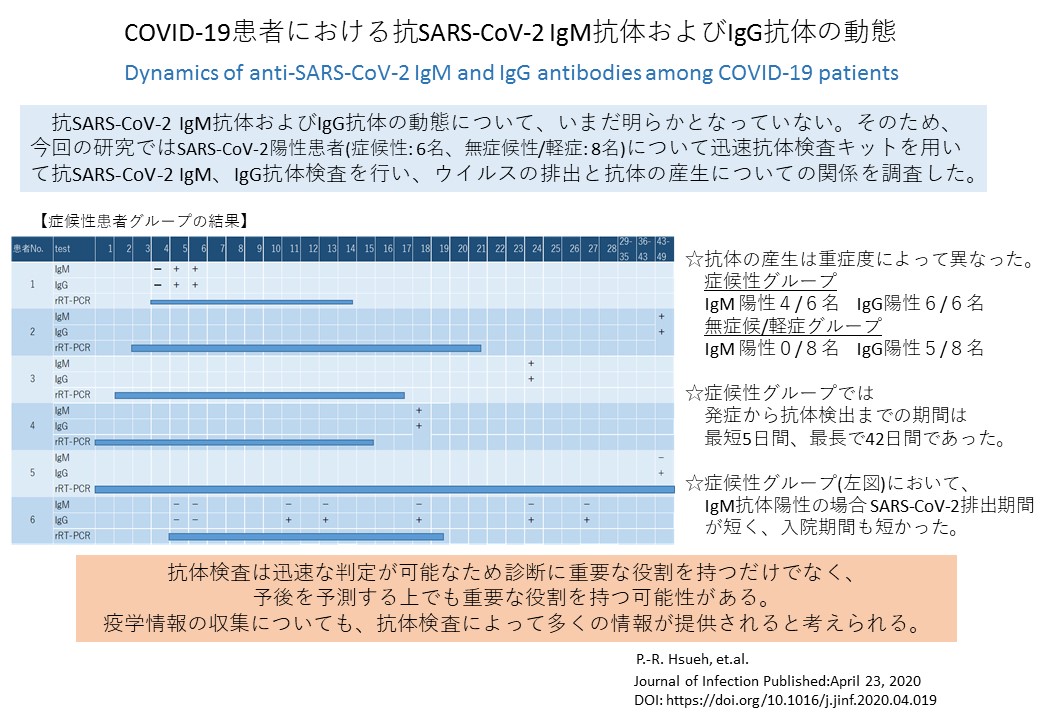 新型コロナウイルスにおけるIgMおよびIgG抗体の動態