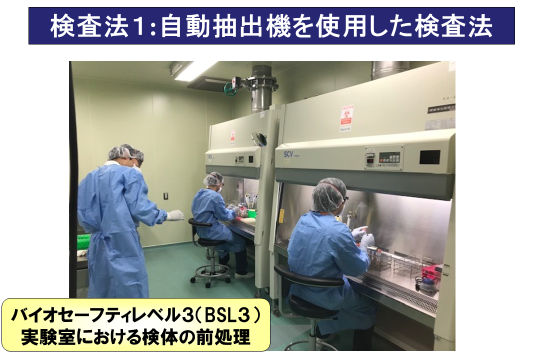 BSL3実験室での県逮捕前処理作業