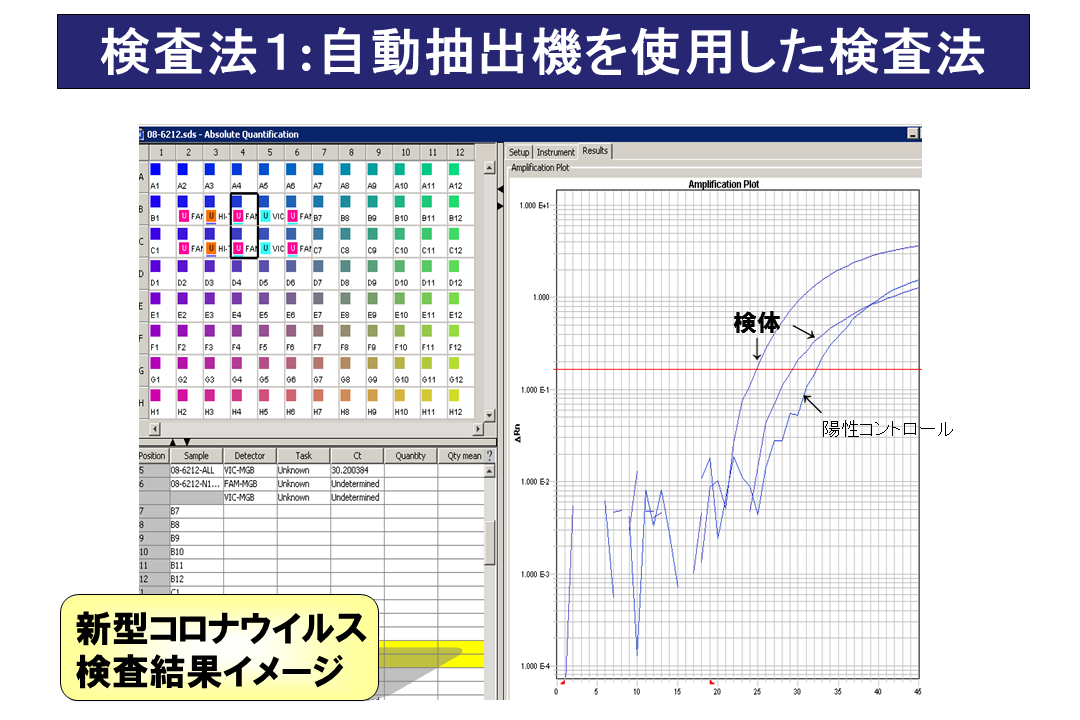 リアルタイムPCR検査結果イメージ図