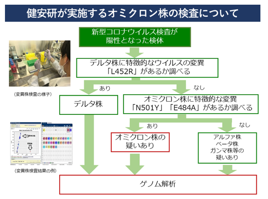 東京都健康安全研究センター 当所における新型コロナウイルス変異株の検査体制について Ba 2への対応